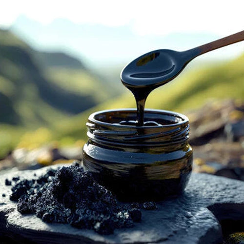 Purified Shilajit